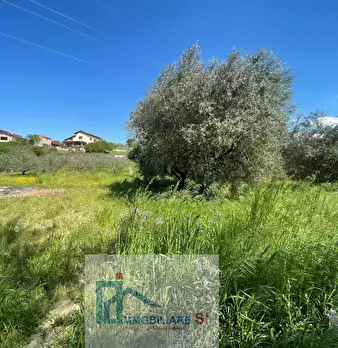Foto annuncio 19