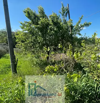 Foto annuncio 22