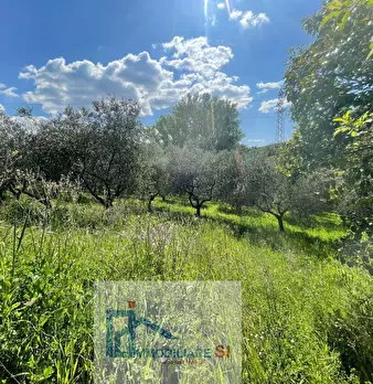 Foto annuncio 23