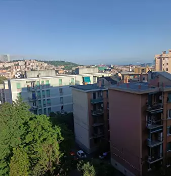 Foto annuncio 18