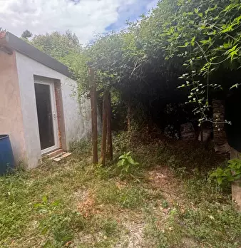 Foto annuncio 5
