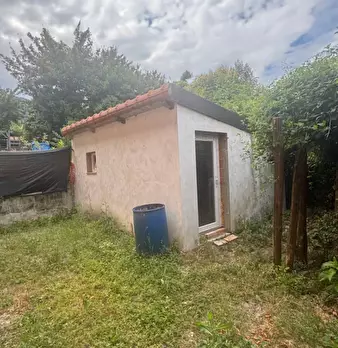 Foto annuncio 7