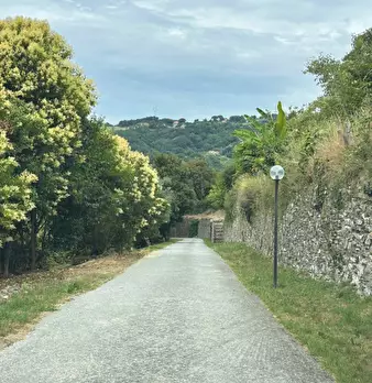 Foto annuncio 2