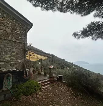 Foto annuncio 11