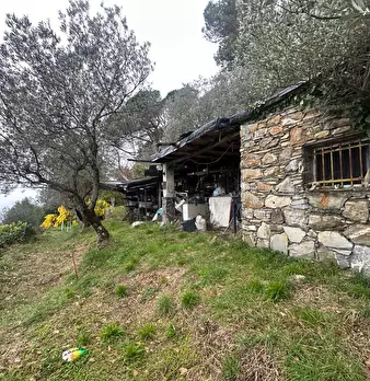 Foto annuncio 12