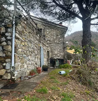 Foto annuncio 13