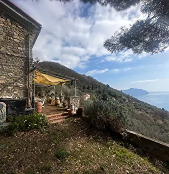 Foto annuncio 10