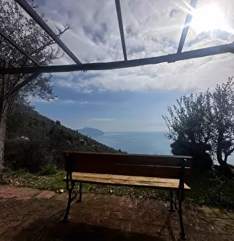 Foto annuncio 17