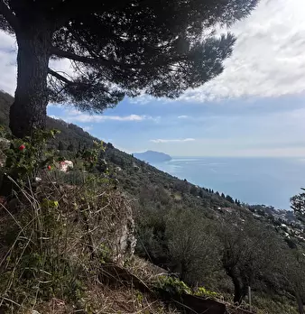 Foto annuncio 28