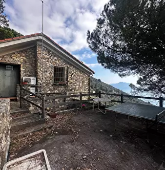Foto annuncio 29
