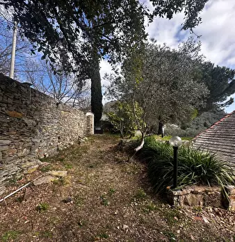 Foto annuncio 30