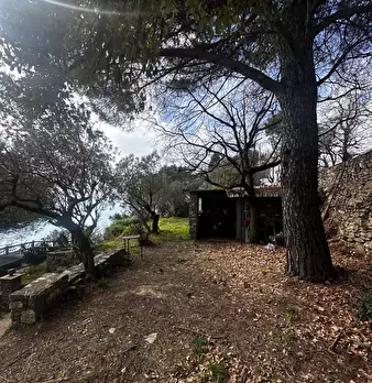 Foto annuncio 31