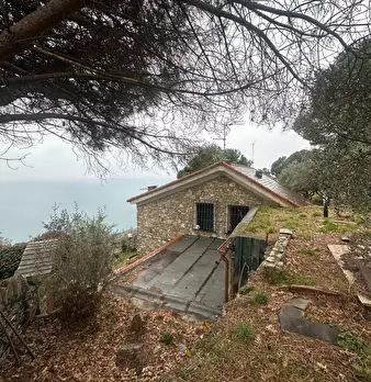 Foto annuncio 32