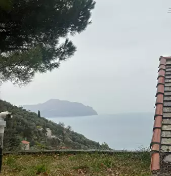 Foto annuncio 33