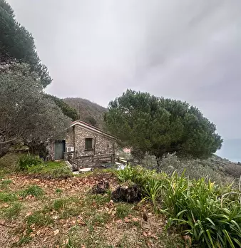 Foto annuncio 34