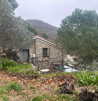 Foto annuncio 35