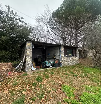 Foto annuncio 36