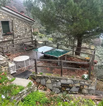 Foto annuncio 37