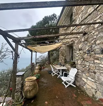 Foto annuncio 40