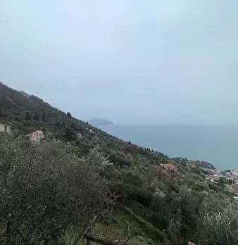 Foto annuncio 47