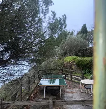Foto annuncio 49