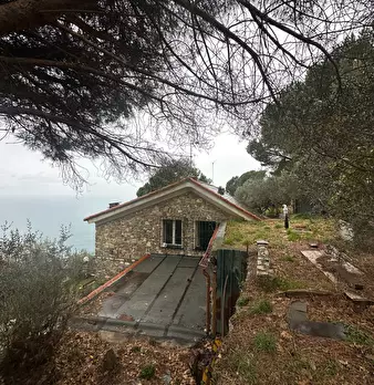 Foto annuncio 59