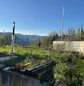 Foto annuncio 33