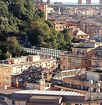 Foto annuncio 14