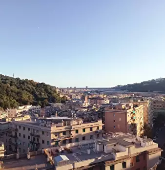 Foto annuncio 15