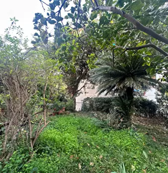 Foto annuncio 9