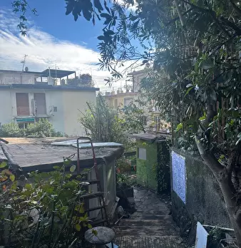 Foto annuncio 24