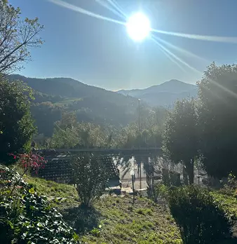 Foto annuncio 29