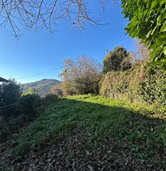 Foto annuncio 39