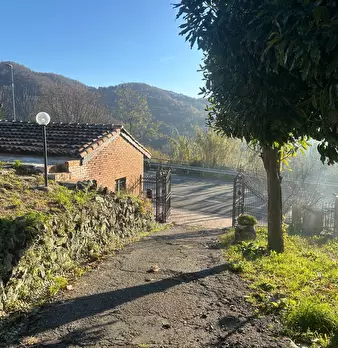 Foto annuncio 41