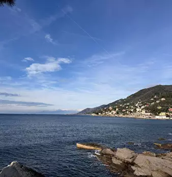 Foto annuncio 8