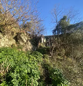 Foto annuncio 9