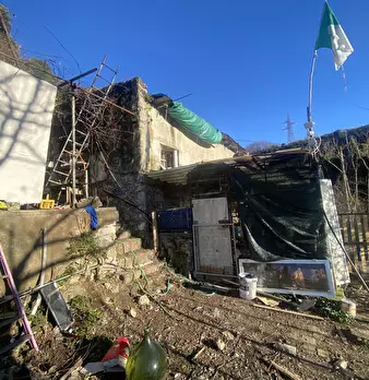 Foto annuncio 10
