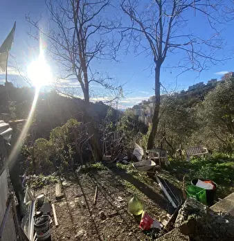 Foto annuncio 13