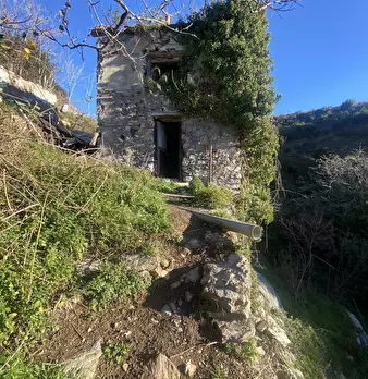 Foto annuncio 11