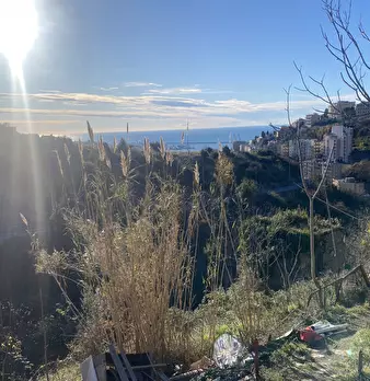 Foto annuncio 12