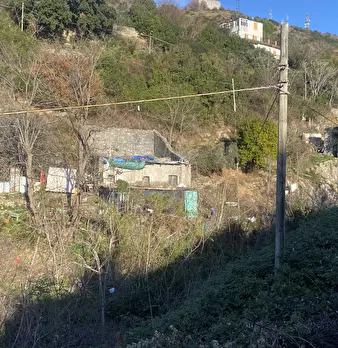 Foto annuncio 15