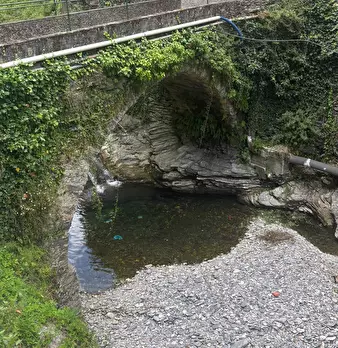 Foto annuncio 12