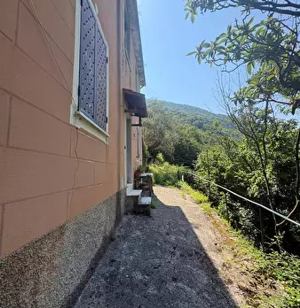 Foto annuncio 19