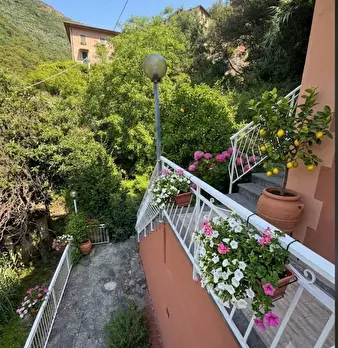 Foto annuncio 26