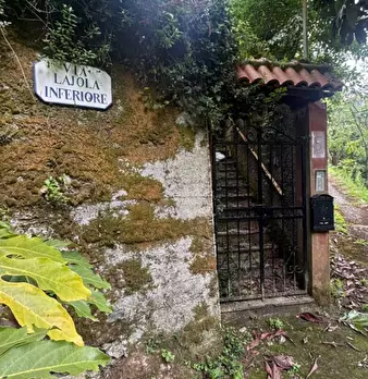Foto annuncio 28