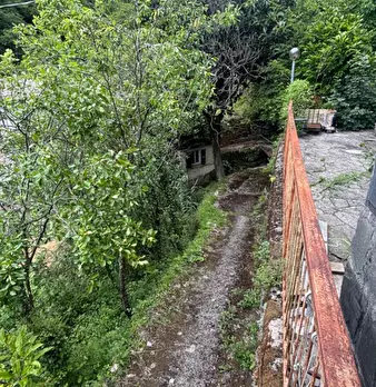 Foto annuncio 34