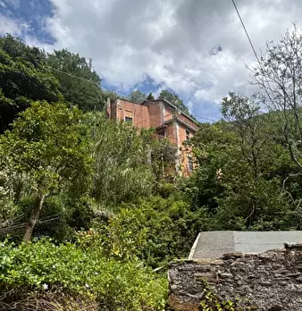 Foto annuncio 38
