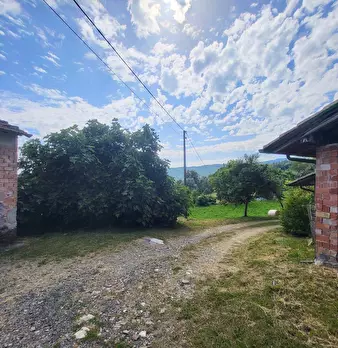 Foto annuncio 10