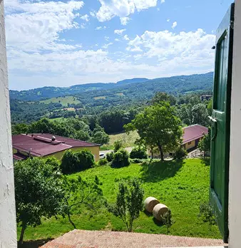Foto annuncio 26