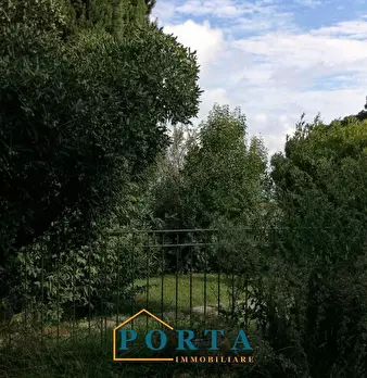 Foto annuncio 42